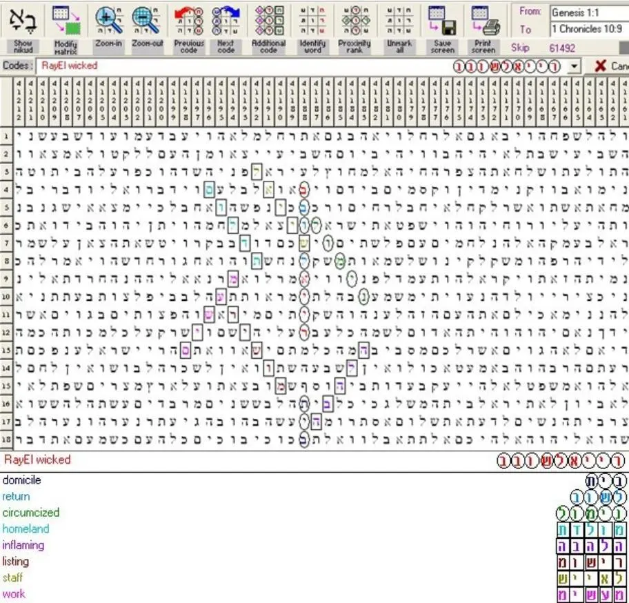 RayEl Wicked7