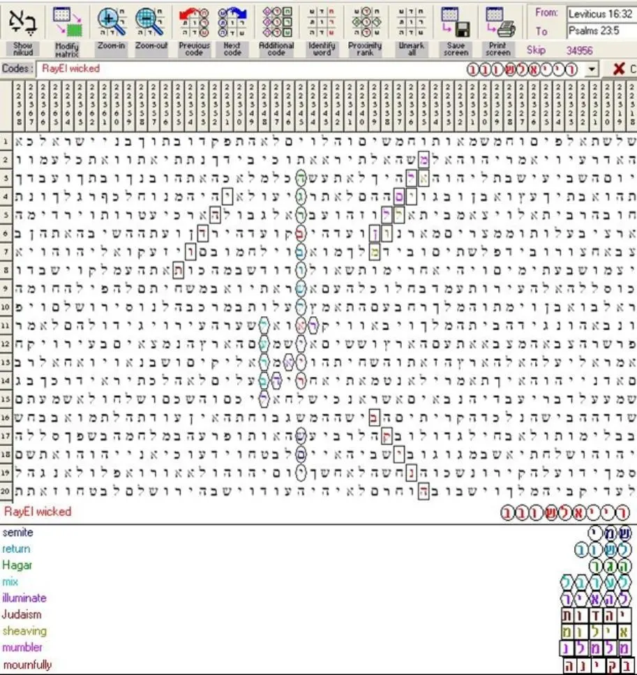 RayEl Wicked8